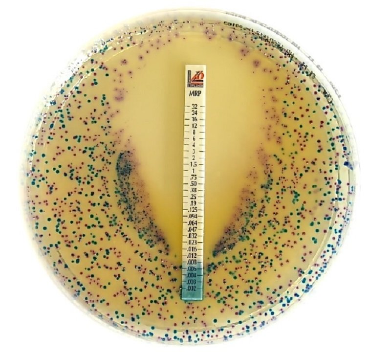 Microbiology – PT. Naga Labs Indonesia
